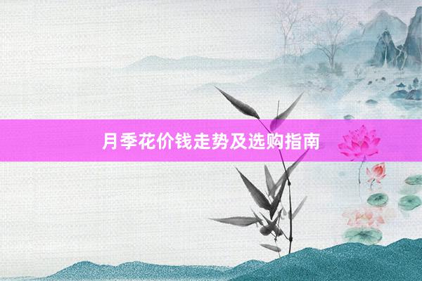 月季花价钱走势及选购指南